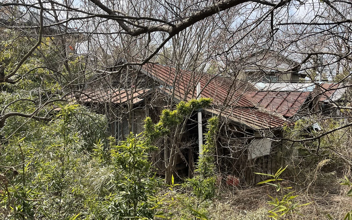 印西市浦部で取り扱った土地の草木が繁茂していた現地写真